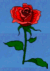 ntm_rose.gif (2892 bytes)